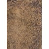 Walnut Burl Wood Veneer 19" x 30" raw no Backing