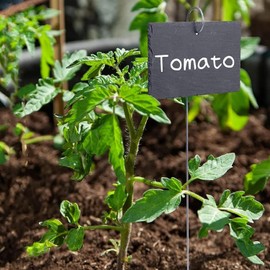 20Pcs Garden Plant Label Hooks, Garden Plant Sign, Plant Sign Stake Holders Plant Accessories (20cm)