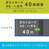 セキセイ SEKISEI アルバム ポケット ハーパーハウス レミニッセンス ミニポケットアルバム KGサイズ 40枚収容 ハガキ