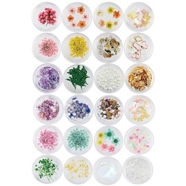 Princess-style Trend Nail & Resin Parts Aurora Film Butterfly Dried Flower Parts Set