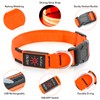 Illumifun Light Up Collar for Dogs, USB Rechargeable LED Dog