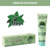 Dr. Bauer's Fruits of Love KOALA Kiss Toothpaste, Toothpaste in
