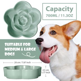 WoofinPets Ceramic Slow Feeder Dog/Cat Bowl, Anti-Choking Slow Food Bowls, 8" 11.3oz Slow Feeder for Medium, Large Breeds, Plum Puzzle Design, Non-Slip Silicone, Dishwasher and Microwave Safe, Green