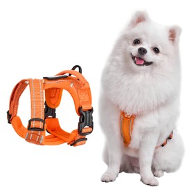 OneTigris Dog Harness for Small Medium Dogs No Pull, Puppy Harness and Leash Set, Easy Walk Dog Harness for Walking, Running, Training, ANTZ Small Dog Harness, Medium Dog Harness (Orange, XXS)