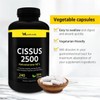 마이라이프 시서스 가루 알약 2500mg 240베지캡슐 씨서스 My Life Cissus
