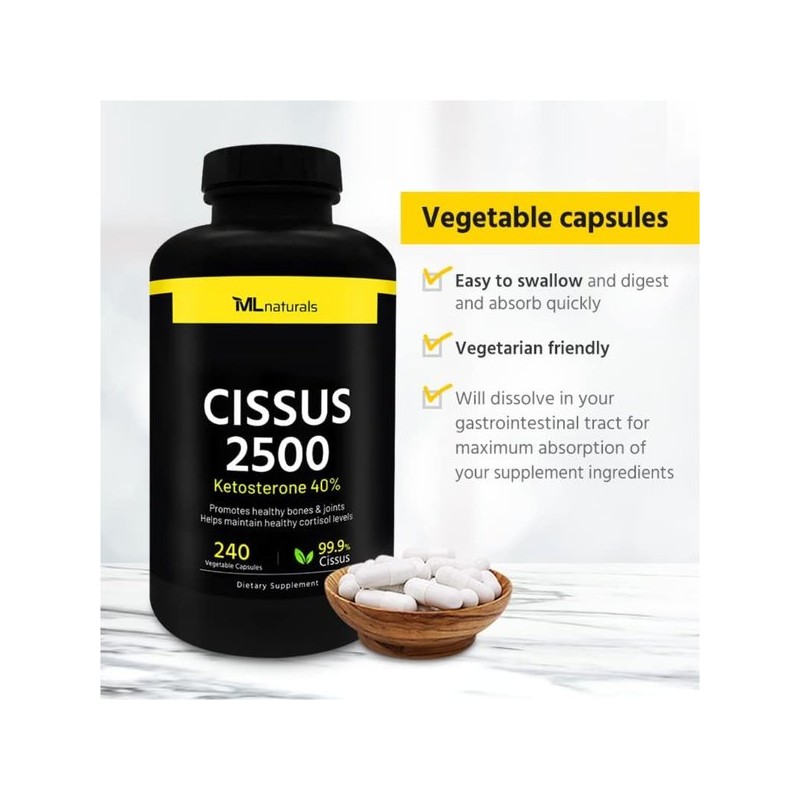 마이라이프 시서스 가루 알약 2500mg 240베지캡슐 씨서스 My Life Cissus