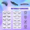 DEJAVIA Magnetic Lashes [10 Pairs], Premium Natural Looking, Reusable Lightweight