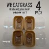 Organic Wheatgrass Premium Grow Kit 4 Pack | Whetagrass Juice