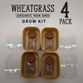 Organic Wheatgrass Premium Grow Kit 4 Pack | Whetagrass Juice | Catgrass
