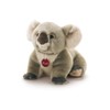 Trudi Jamin 27752 Soft Toy Koala