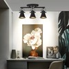 KEESFU 3-Light Track Lighting Kit,Black Semi Flush Mount Ceiling Light