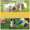 Herding Ball for Dogs – 18” Dog Training Ball with
