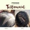 No Brand PYEONAN Speed Hair Color 1 box Pyeo nan