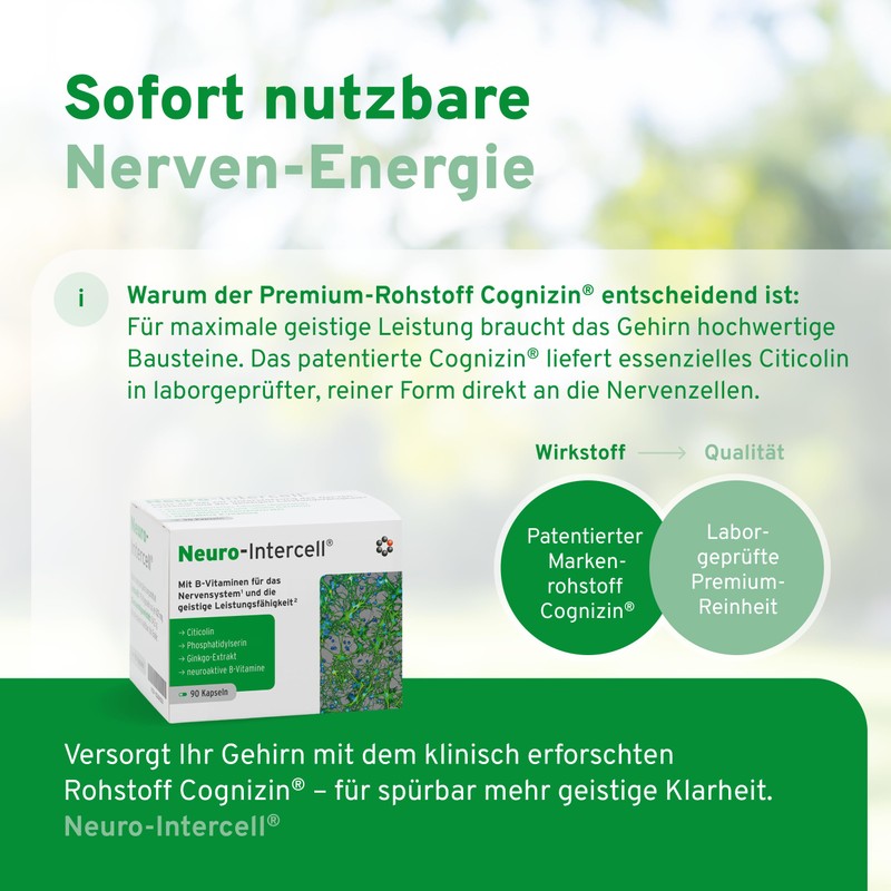 Neuro-Intercell Vitamin B Complex (90 Capsules) - High Dose for