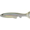 IMAKATSU #S-243 Realistic Imae Wasagi Worm Huddle Swimmer, 3-Inch, Real