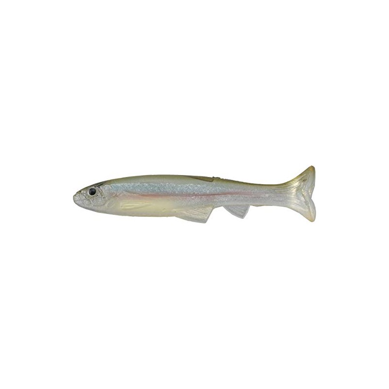 IMAKATSU #S-243 Realistic Imae Wasagi Worm Huddle Swimmer, 3-Inch, Real