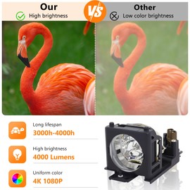 Supermait Replacement Projector Lamp with Housing DT00701 for HITACHI CP-HS980 / CP-HX990 / CP-RS55 / CP-RS55W / CP-RS56 / CP-RS56+ / CP-RS57 / CP-RX60 / CP-RX60Z / CP-RX61 / CP-RX61+ / EP-PJ32 / PJ-LC7 / PJ-LC9 / CP-RS56 +