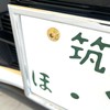 RENPA Titanium Alloy License Plate Specific Bolt with Snowflake Design,