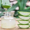 Vonderweid - AloeGel, Moisturizing Aloe Arborescens Gel, 100 ml