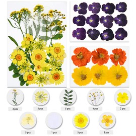 Vignee 51 PCS Real Dried Pressed Flowers Leaves Petals for Crafts Yellow- Beautiful Pressed Flowers Daisies for Resin Jewellery, Pressed Flowers Nail Pendant Crafts Making Craft DIY Accessories