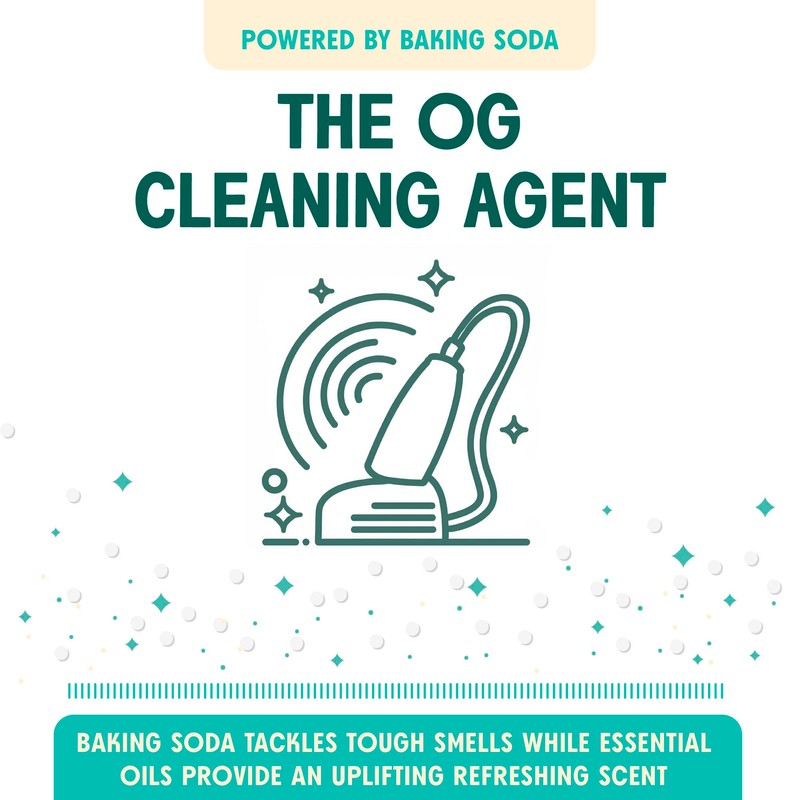 Aunt Fannie's Carpet Refresher & Deodorizer Powder, Multi-Purpose Carpet, Rug,