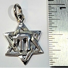 The Silver Jewelry Guy Star of David with Chai Pendant 925 Sterling Silver