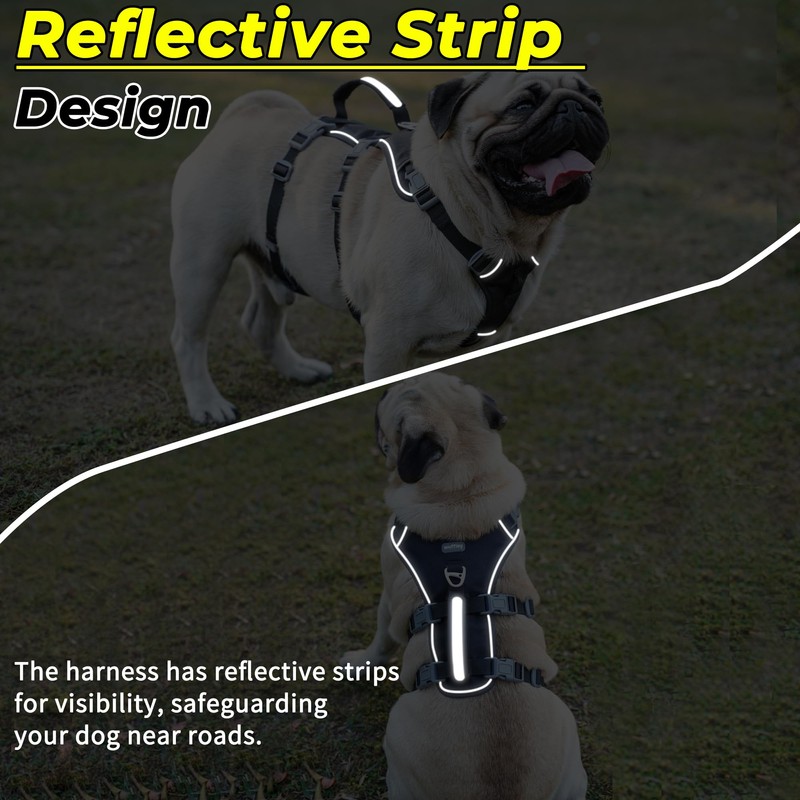 Escape Proof Dog Harness and Leash Set, Lightweight Dog Harness