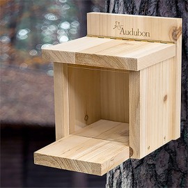 Woodlink NASQBOX Audubon Squirrel Munch Box Feeder