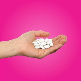 PUR Sugar Free Pomegranate Mint Chewing Gum Blister Pack 9 Count Xylitol