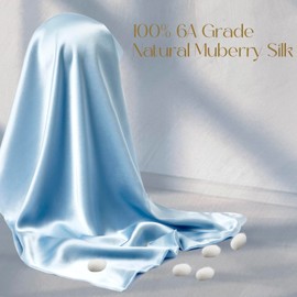 ZIMASILK 100% Pure Mulberry Silk Pillowcase for Hair and Skin Health,Soft and Smooth,Both Sides Premium Grade 6A Silk,600 Thread Count,with Hidden Zipper,1pc (Queen 20''x30'',Light Blue)