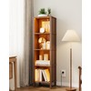 Apetaccat Book Shelf with LED Lights, Modern 4-Tier Bookcase, Open