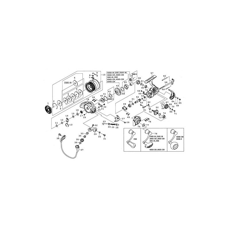 DAIWA Genuine Part 19 Regza LT4000S-CXH Drag Knob Part Number