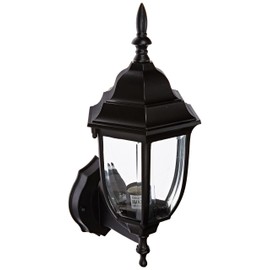 Acclaim 5011BK Wexford Collection 1-Light Wall Mount Outdoor Light Fixture, Matte Black