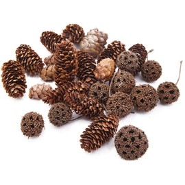 Apol Total 200 Pcs Natural Mini Pinecones Maple Fruit Ornament Set for Vase Fillers Photo Props DIY Home House Christmas Decoration Craft