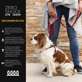 EZYDOG Zero Shock LITE Dog Lead | Zero Shock Technology, Shock-Absorbing, 1.2m, Small Dogs, Medium Dogs, Large Dogs, Comfortable Padded Handle, Traffic Control, 48 inches (Purple)