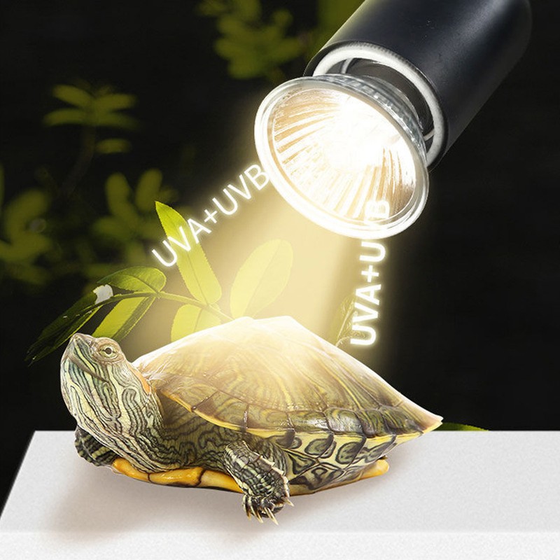 Reptile Heat Lamp UVA Full Spectrum Adjustable Brightness Temp Climbing