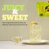 [Nokchawon] Citronade Pouches 10 Packs – Sweet and Tangy Korean
