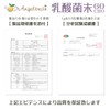 Angelbean 乳酸菌 原末100% 国産 植物性ナノ型 原料 粉末 パウダー 30g