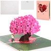 Bighan Pop Up Valentine's Day Card, 3D Pop Up Greeting