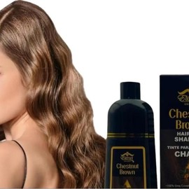 ETERNAL SPIRIT BEAUTY Chestnut Brown Hair Dye Shampoo for Gray Coverage, with Argan Oil for Men and Women, 400ml (chestnut Brown) Haircare