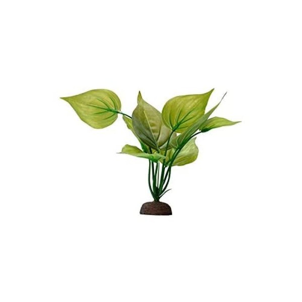 Fluval Aqualife Plant Scapes Variegated Lizard's Tail - 20 cm