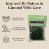 Preserved Spanish Moss - Premium Decorative Moss for Crafts, Home