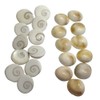 Generic Suninow Natural Gomati/Gomti Chakra Original for Puja (White) by