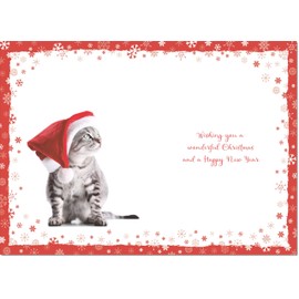 doodlecards Cousin Christmas Card Kitten in a Santa Hat Medium Size Christmas Card for Cousin with Plain Envelope