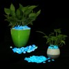 LAUQEE Glow in The Dark Garden Pebbles Stones Rocks for