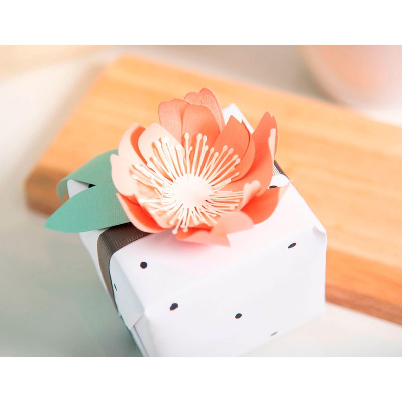 Thinlits Die Set 8 Pack 664390 Tulip by Jennifer Ogborn