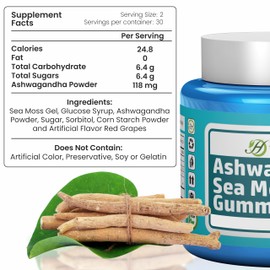 HERBOGANIC Ashwagandha Sea Moss Gummies - 60 Count
