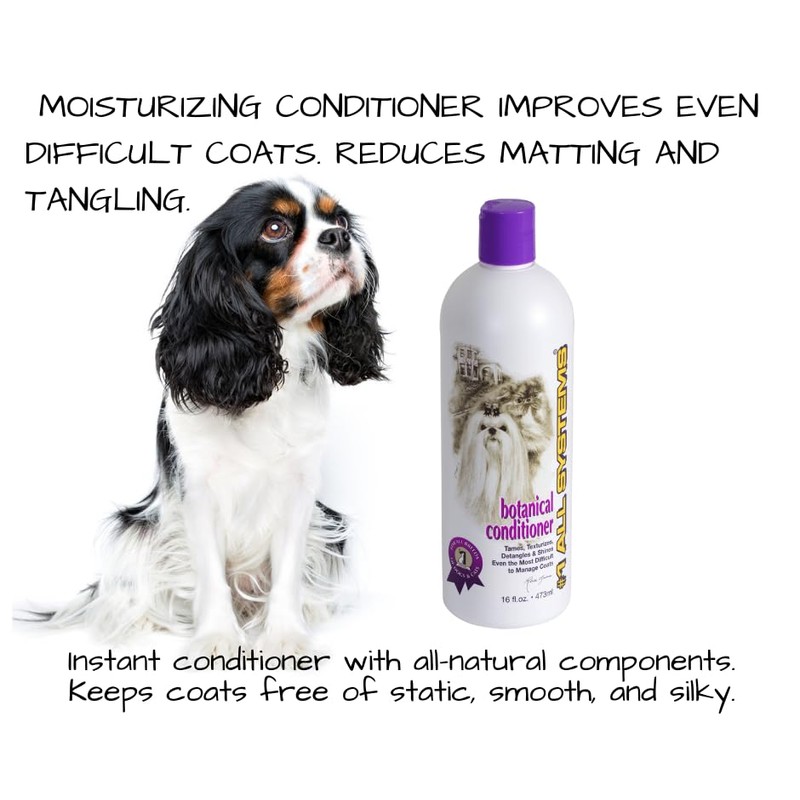 #1 All Systems Professional Grooming Kit for Cavalier King Charles