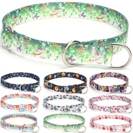 haoyueer Training Collar, No Pull Martingale Collar, Slip On Collar with Sliding Stop Ring for Small Medium Large Dogs (S, Grass)