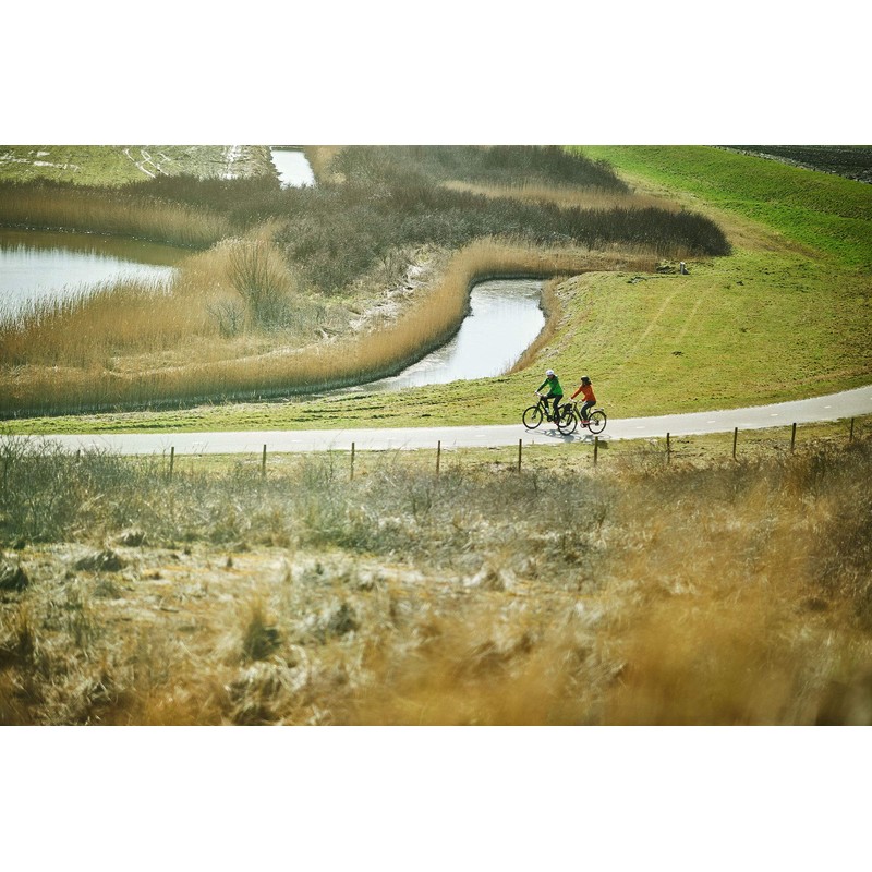 Ergon GP1 Ergonomic Grips for Gripshift Bikes - Left Handle